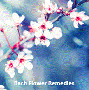 Bach Flower Remedies