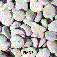 EMDR