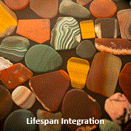 Lifespan Integration